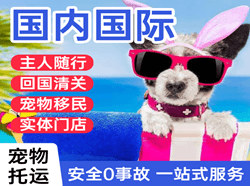 福州机场货运国际宠物托运 【国